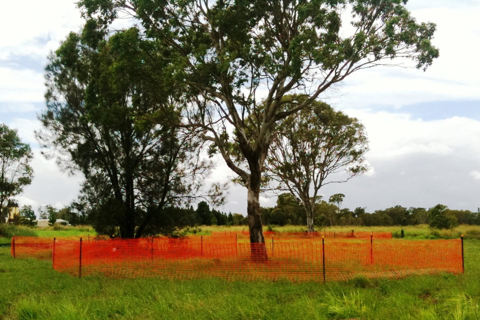 Fauna exclusion fencing protecting a wildlife corridor - photo 2